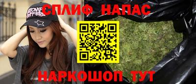 гашик Анжеро-Судженск