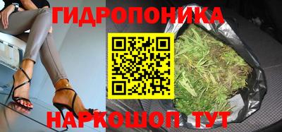 гашик Анжеро-Судженск