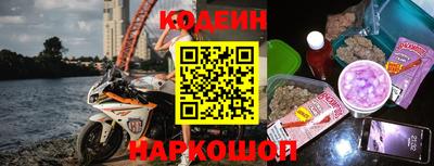 гашик Анжеро-Судженск