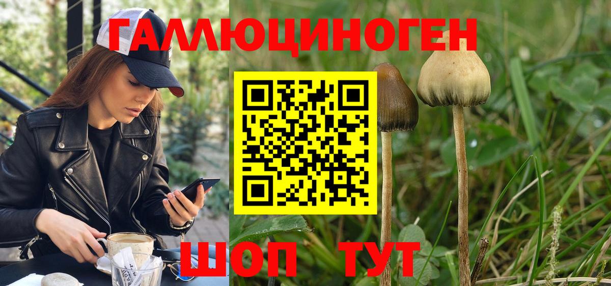 Псилоцибиновые грибы MAGIC MUSHROOMS  Вход с VPN  Псилоцибиновые грибы Psilocybe  Верхняя Салда 